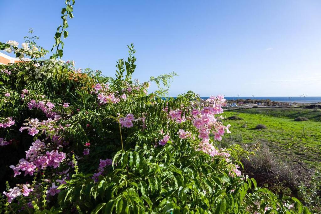 Tejita Beach La Tejita Eksteriør bilde
